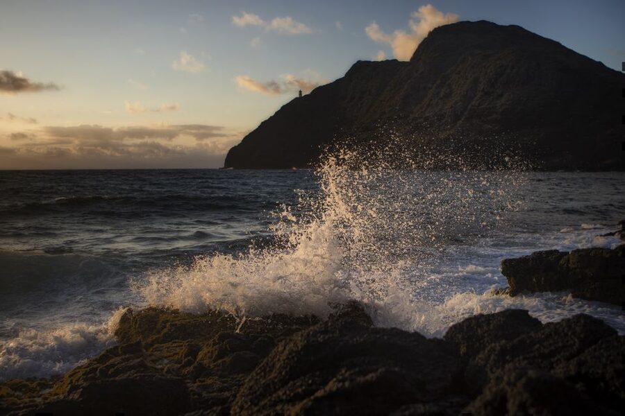 Oahu: Half-Day Sunrise Semi-private Tour from Waikiki - Key Things I’d Pay Attention To