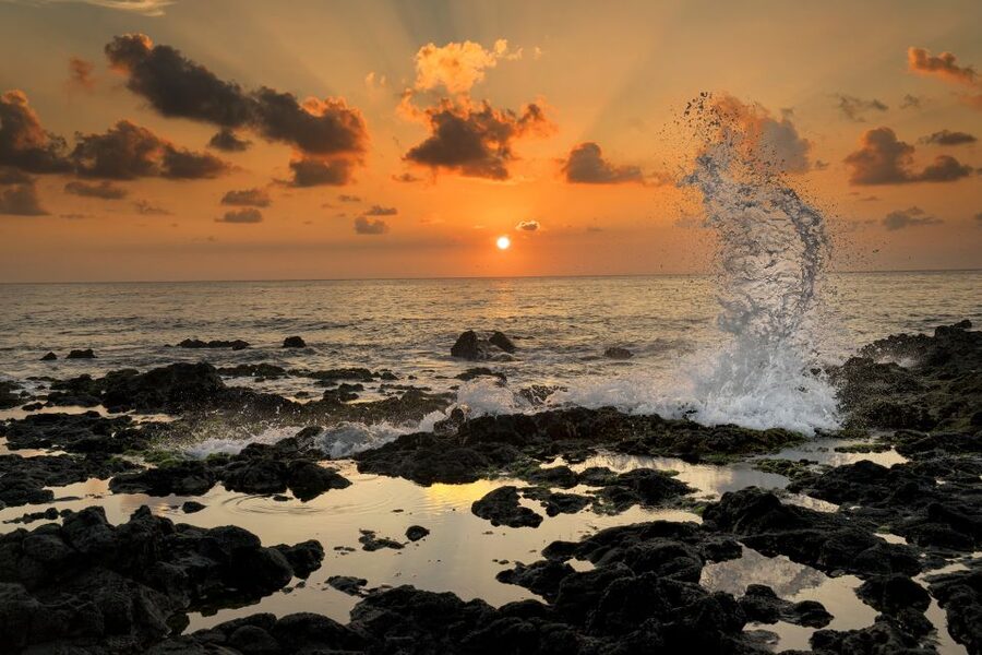 Oahu: Half-Day Sunrise Semi-private Tour from Waikiki - After Sunrise: The Scenic Road Trip That Packs in Oahu Highlights