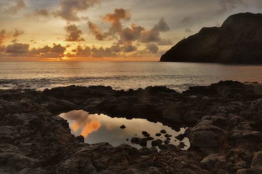 Oahu: Half-Day Sunrise Semi-private Tour from Waikiki - A One-Minute Walk Waterfall Photo Stop