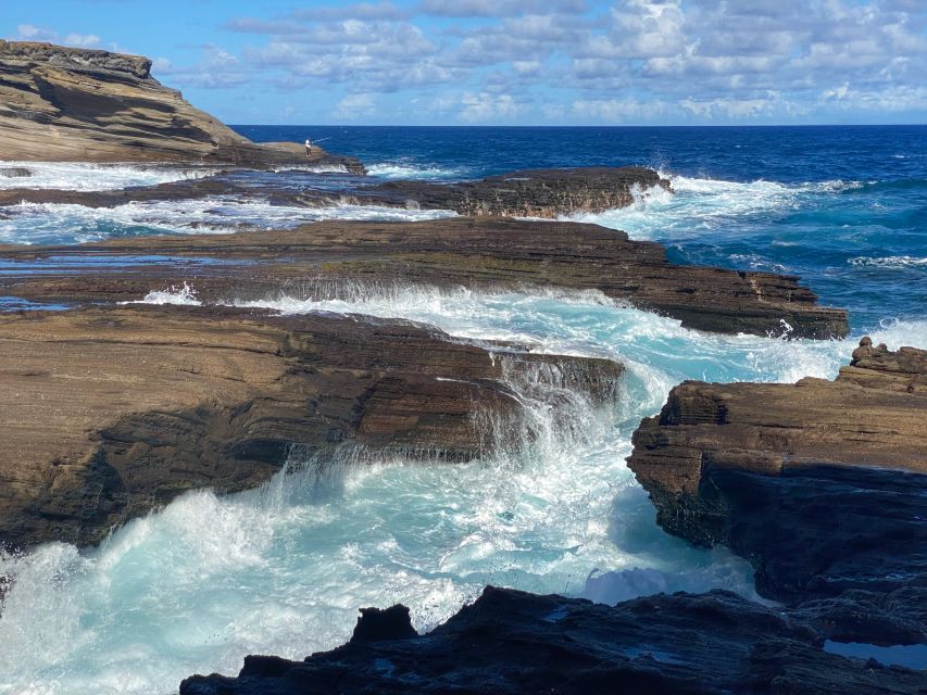 Oahu: Half-Day Sunrise Semi-private Tour from Waikiki - White Sand Beach, Ancient Trees, and Tropical Bamboo Forest Stops