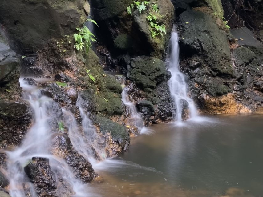 Oahu: Half-Day Sunrise Semi-private Tour from Waikiki - Price and Value: Is $100 for 5 Hours a Good Deal?