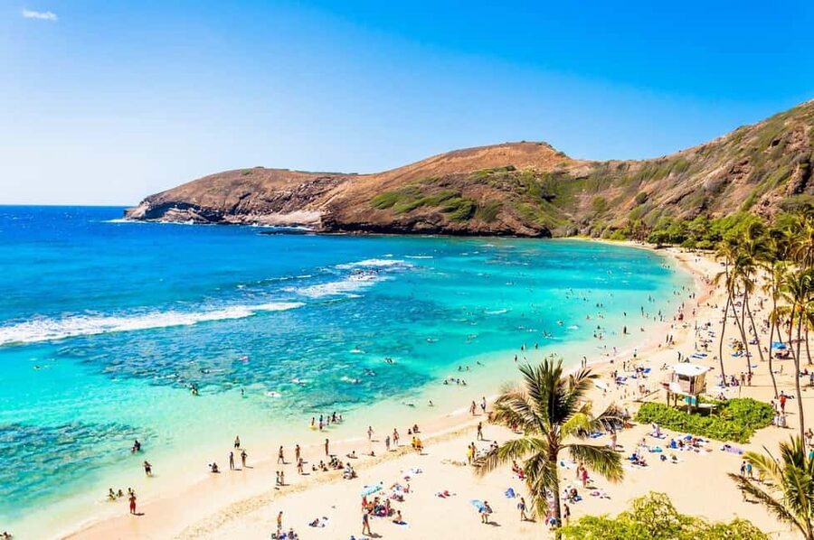 Oahu : Hanauma Bay Admission Ticket+Equipment Rental - Where the Gear Pickup Happens (Watumull Building, Suite 303)
