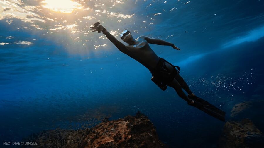 Oahu : Hanauma Bay Admission Ticket+Equipment Rental - Transportation Is the Missing Link, So Plan It Early