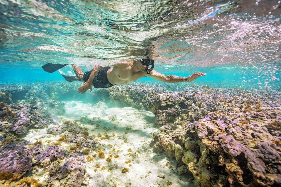 Oahu : Hanauma Bay Admission Ticket+Equipment Rental - Timed Admission: The Part That Can Make or Break Your Day