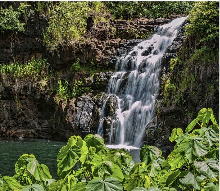Oahu Hidden Gems & Waimea Botanical Garden/Waterfall tour - Pali Lookout: Where Nature and Culture Feel Linked