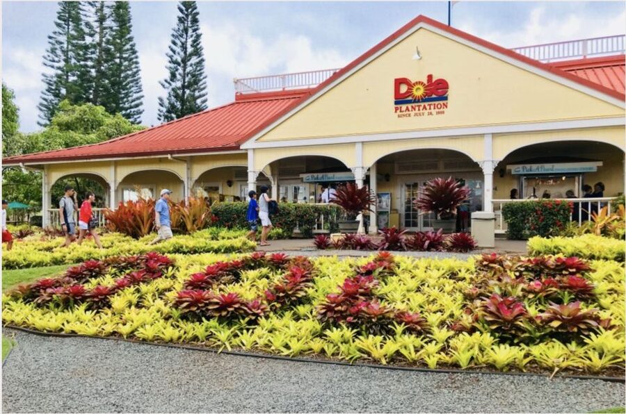 Oahu Hidden Gems & Waimea Botanical Garden/Waterfall tour - Price and Logistics, What $184 Covers and What to Budget