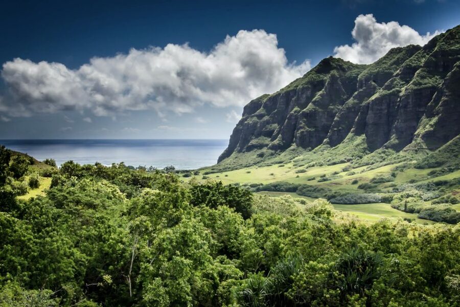 Oahu Hidden Gems & Waimea Botanical Garden/Waterfall tour - Waikiki Pickup to North Shore Views: Why the Road Trip Part Matters