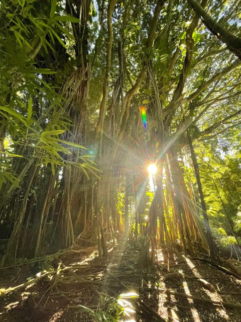 Oahu: Hidden Hawaii Waterfall Hike and Beach Tour - Key things I’d zero in on before you book