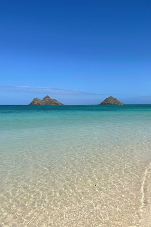 Oahu: Hidden Hawaii Waterfall Hike and Beach Tour - From Waikiki pickup to jungle walking: how the day starts