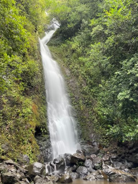 Oahu: Hidden Hawaii Waterfall Hike and Beach Tour - Lulumahu Falls: a rainforest hike with actual payoff
