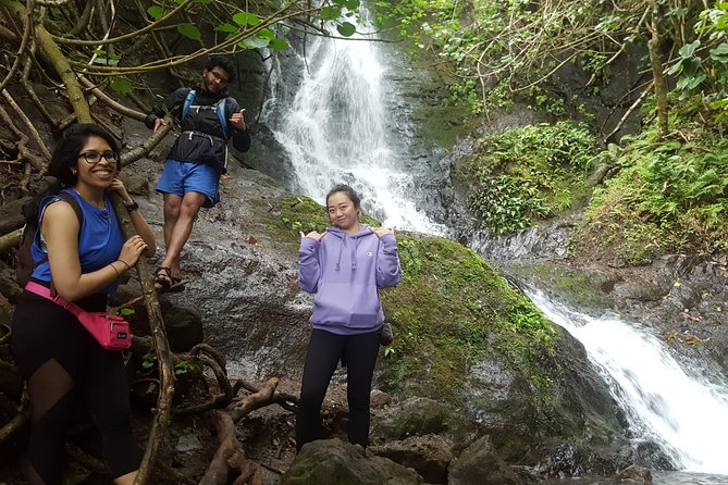 Oahu Hidden Waterfall Hike: A Tropical Paradise Adventure - The hike itself: under 2 miles, mild to moderate, and usually worth it