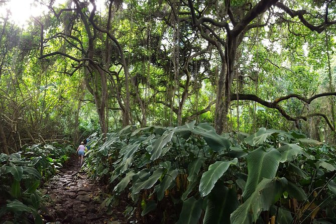 Oahu Hidden Waterfall Hike: A Tropical Paradise Adventure - What’s included, and what you should bring anyway