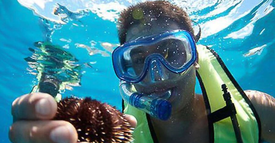 Oahu: Hilton Hawaiian Village Snorkel Tour - Spirit of Aloha: the easy way to get off Waikiki water and into the action