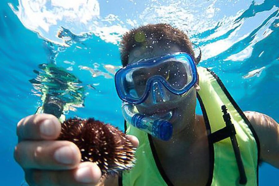 Oahu: Hilton Hawaiian Village Snorkel Tour - The reef visit you can’t replicate from Waikiki beach