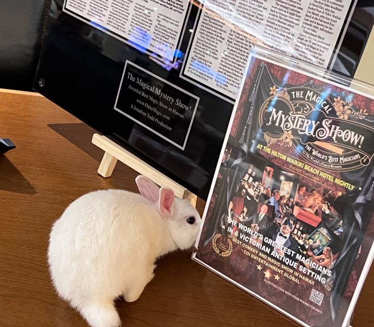 Oahu: Hilton Waikiki Beach Hotel Magical Mystery Show - VIP Front Row: When 8 Seats Change Everything