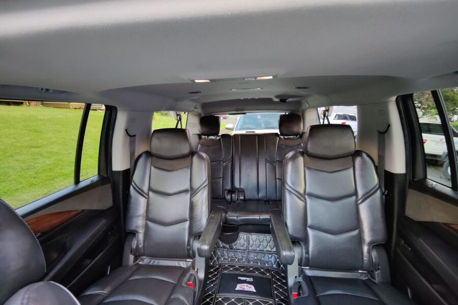 Oahu: Honolulu Airport Private by Escalade SUV - Who This Transfer Is Best For