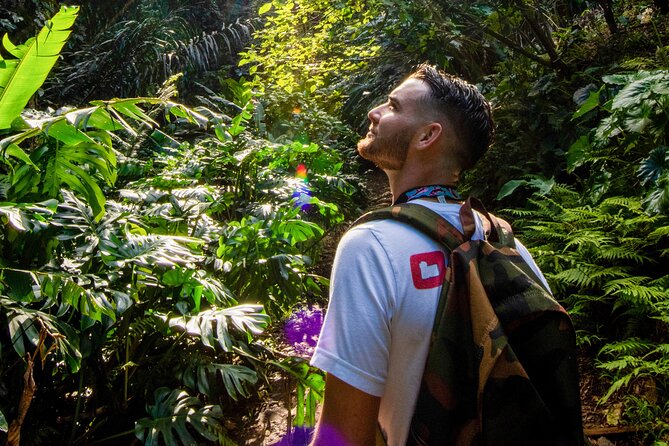 Oahu in a Day: Waterfall - Food Trucks - Lookouts - Small Crowds - Why this Oahu loop beats DIY when you want photos and key sights