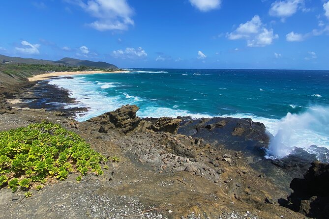 Oahu Island Experience feat the North Shore (Small Group Tour) - Sunset Beach, winter surf drama and beach-town views