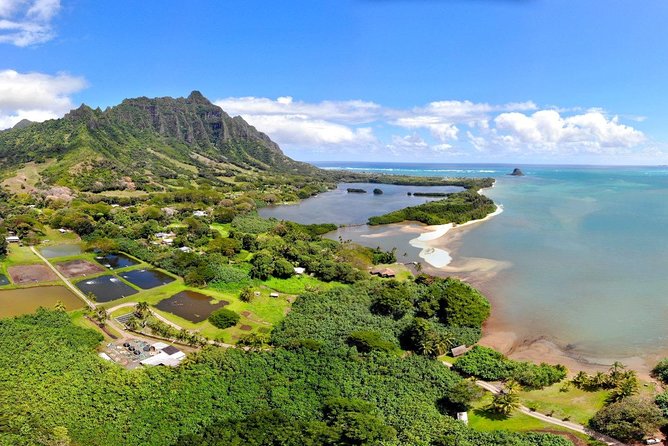 Oahu Island Full-Day Sightseeing Tour - Halona Blowhole Timing, Makapu’u Point, and East Oahu Views
