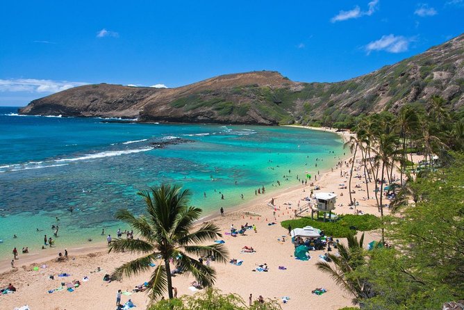 Oahu Island Full-Day Sightseeing Tour - Dole Plantation Gift Shop Visit: A Quick Stop, Not an Activity Day