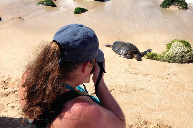 Oahu Island Photography Tour - Gear and shooting tips for phones and high-end cameras