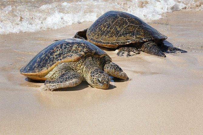 Oahu Island Photography Tour - What to bring and how to dress so you can actually shoot