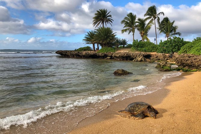 Oahu Island Photography Tour - Who should book this Oahu photography tour
