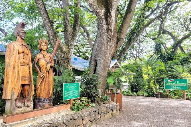Oahu Island Sightseeing and Food Combo Tour - Key things to know before you go