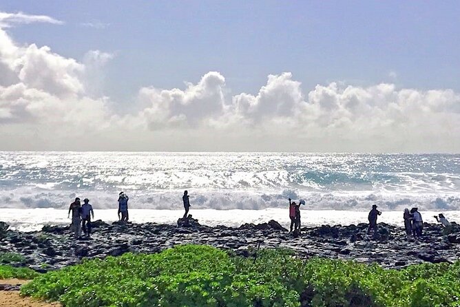 Oahu Island Sightseeing and Food Combo Tour - Koko Marina Center malasada stop and the Hanauma Bay lookout