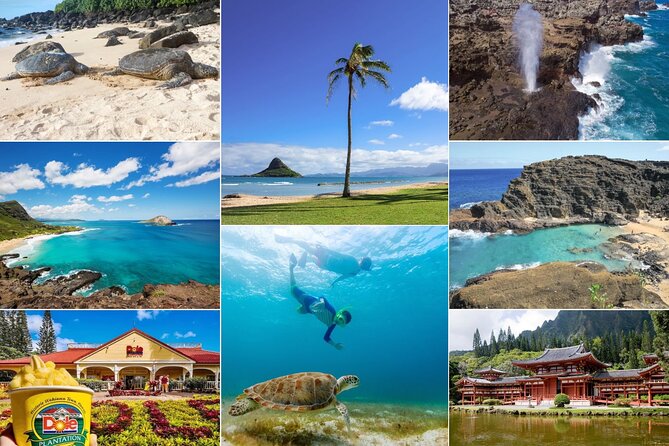 Oahu Island Tour: 13 ppl Max, Snorkel at Turtle Beach + Lunch - Quick highlights you’ll feel right away