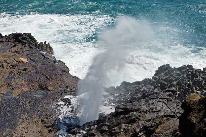 Oahu Island Tour: 13 ppl Max, Snorkel at Turtle Beach + Lunch - Makapu‘u Point and Byodo-in Temple: coast views plus calm