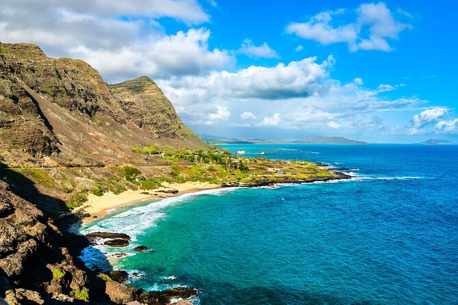 Oahu Island Tour: 13 ppl Max, Snorkel at Turtle Beach + Lunch - Kahuku shrimp plates and macadamias: the North Shore part you’ll talk about