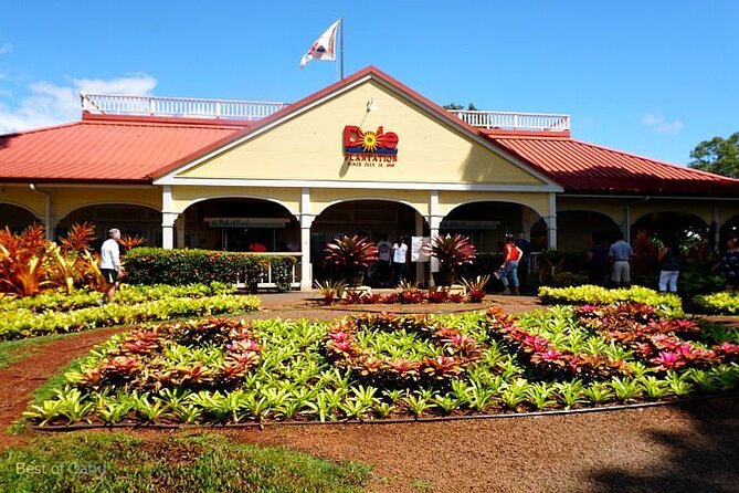 Oahu Island Tour, Dole plantation ,Northshore,VIP,PRIVATE - Pickup at Ala Moana Center, and how to plan your day