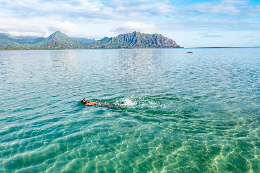 Oahu: Kaneohe Bay Coral Reef Kayaking Rental - The 4-hour flow: what you do before, during, and after reef time