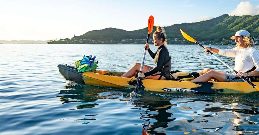 Oahu: Kaneohe Bay Coral Reef Kayaking Rental - Wildlife around Kaneohe Bay, including turtles on sandbanks