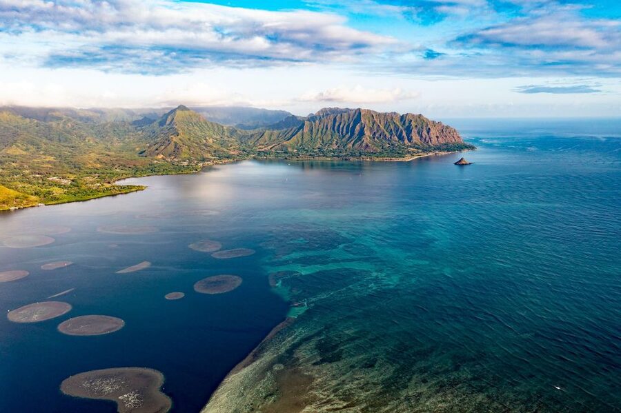 Oahu: Kaneohe Bay Coral Reef Kayaking Rental - Paddle to the reef edge: why that first stretch matters