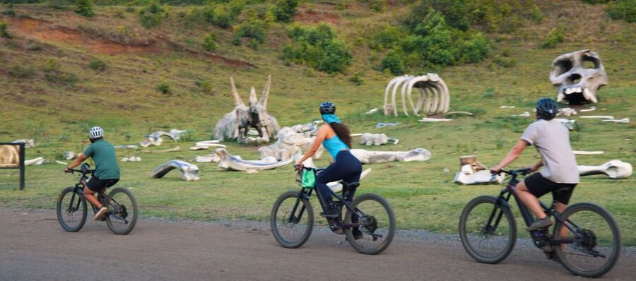 Oahu: Kualoa Electric Bike Tour - Entering The 3-Hour Rhythm: Check-In, Training, Then Riding