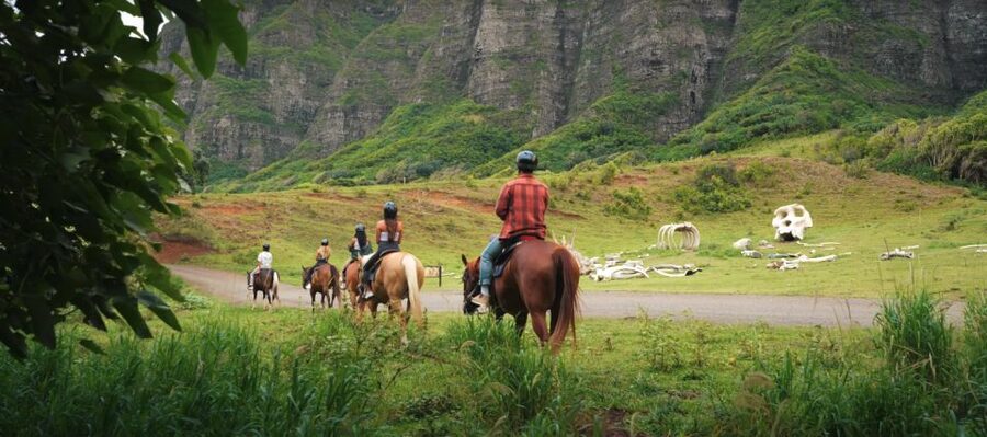 Oahu: Kualoa Hills and Valleys Horseback Riding Tour - Horse experience: what “beginner-friendly” usually means here