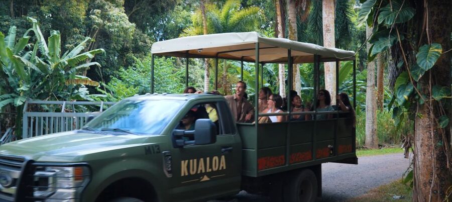 Oahu: Kualoa Jurassic Movie Set Adventure Tour - Price and value: is $166 a fair deal?