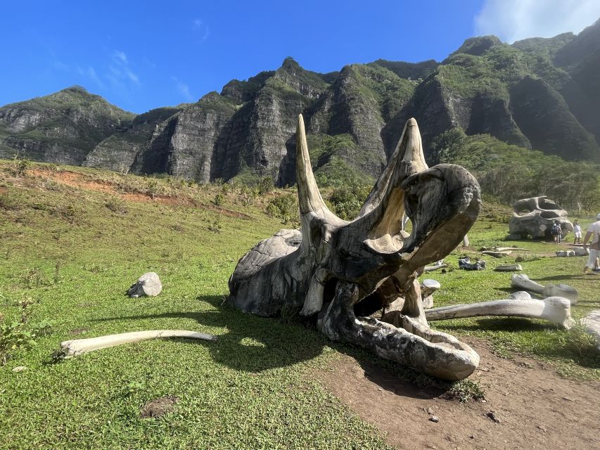 Oahu: Kualoa Movie Sites, Jungle, and Buffet Tour Package - Key highlights at a glance