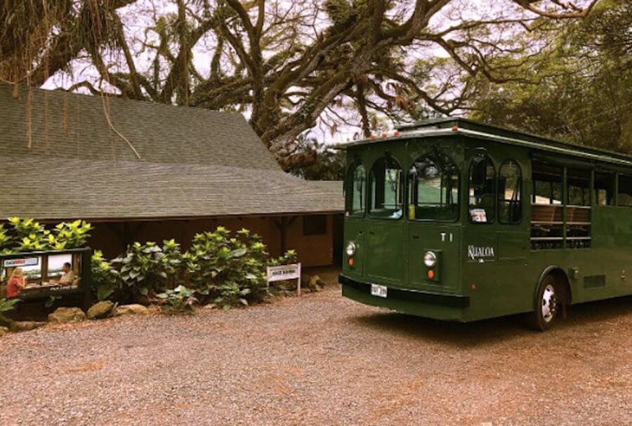 Oahu: Kualoa Movie Sites, Jungle, and Buffet Tour Package - Timing, pickup options, and how to make the day smooth