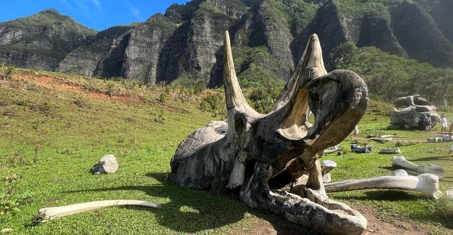 Oahu: Kualoa Movie Sites, Jungle, and Buffet Tour Package - Hollywood Movie Sites Tour in Kaaawa Valley