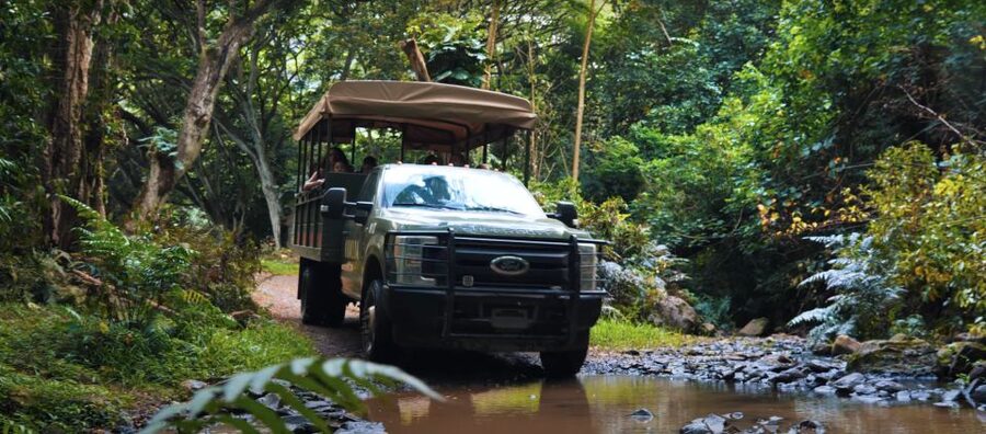 Oahu: Kualoa Open Air Jungle Expedition Tour - Why Kualoa’s open-air jungle expedition feels like a real adventure
