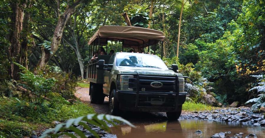 Oahu: Kualoa Open Air Jungle Expedition Tour - Hollywood film sites: Jurassic World and Kong Skull Island stops