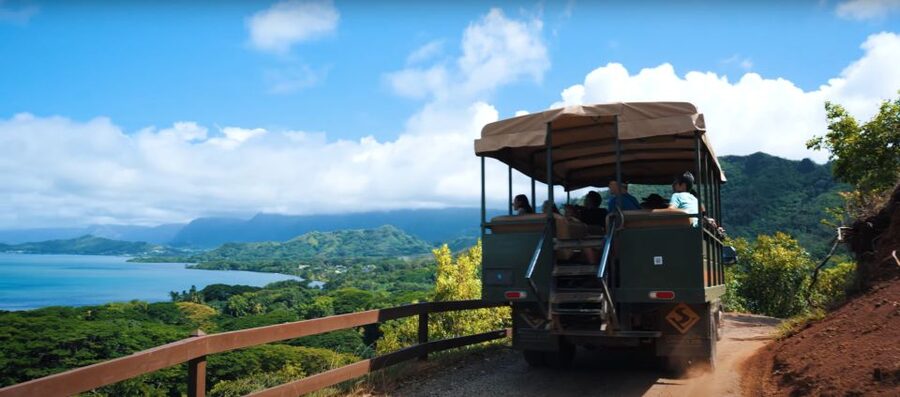 Oahu: Kualoa Open Air Jungle Expedition Tour - Should you book the Kualoa Open Air Jungle Expedition?