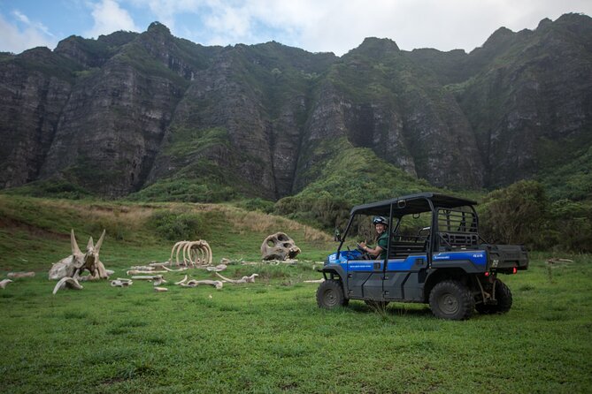 Oahu: Kualoa Ranch UTV Raptor Tour - How much value is $185.54 for a UTV tour?