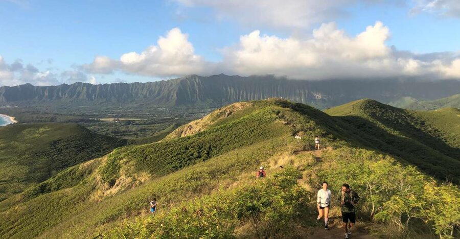 Oahu: Manoa Falls Hike and east side beach day - Small-Group Comfort, Plus a Mercedes Van That Sets the Tone