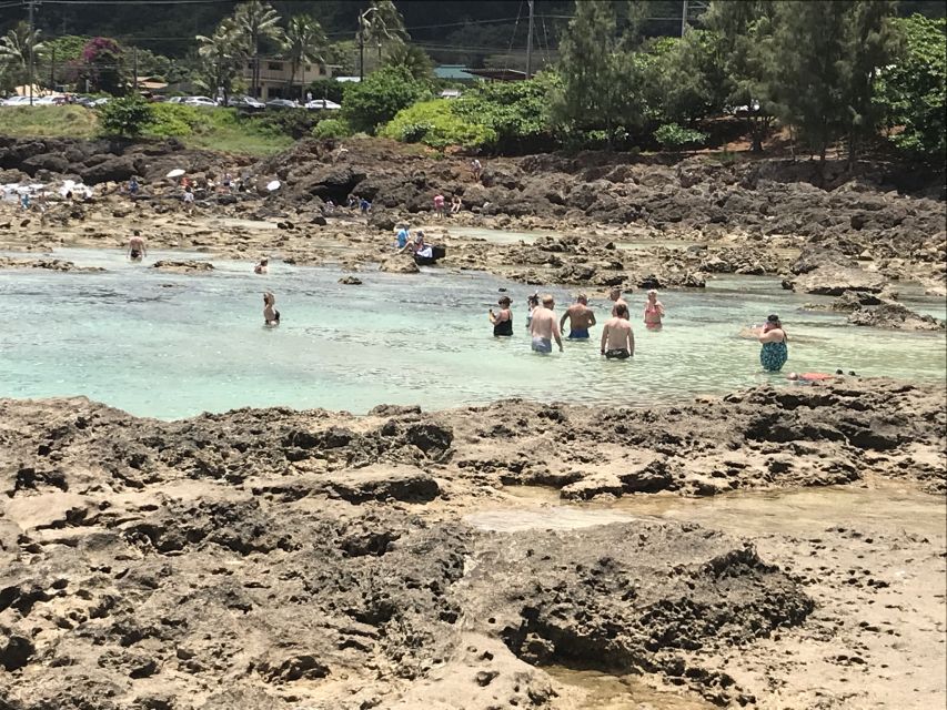 Oahu: Manoa Falls Hike and east side beach day - Kailua Beach Park: Why This Part Feels So Relaxing