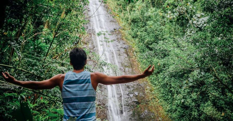 Oahu: Manoa Falls Waterfall Hike with Lunch and Transfers - Key Highlights You Should Know