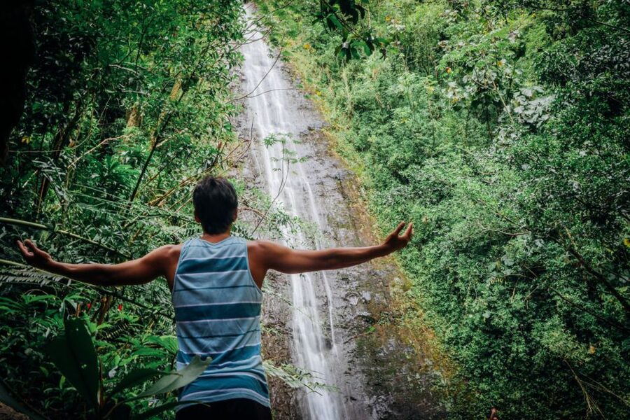 Oahu: Manoa Falls Waterfall Hike with Lunch and Transfers - Who This Tour Fits Best (and Who Should Skip It)
